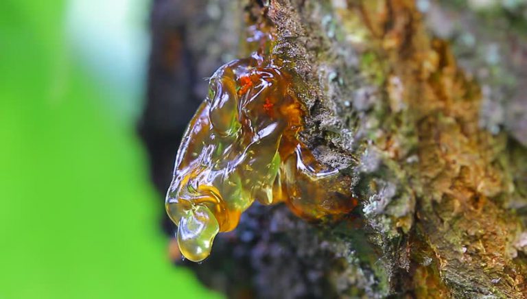 رزین پلی استر سه جزئی درجه یک