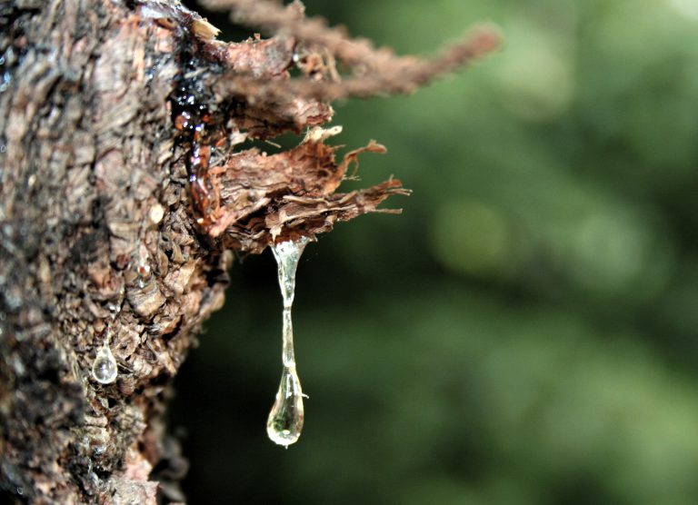 فروش رزین پلی استر سه جزیی
