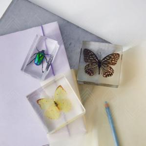 صادرات رزین پلی استر ترموست از ایران