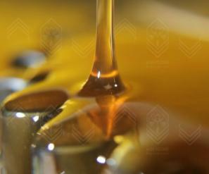 تولیدی بزرگ رزین ایزو بوشهر