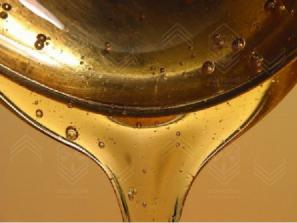 پخش کنندگان رزین پلی استر لنج